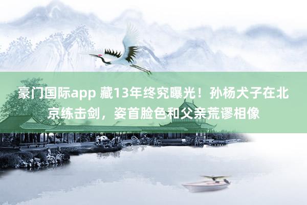豪门国际app 藏13年终究曝光！孙杨犬子在北京练击剑，姿首脸色和父亲荒谬相像