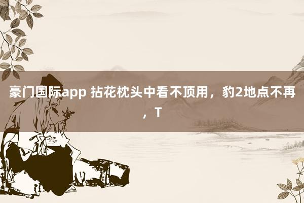 豪门国际app 拈花枕头中看不顶用，豹2地点不再，T
