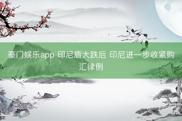 豪门娱乐app 印尼盾大跌后 印尼进一步收紧购汇律例